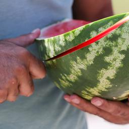 Ein Mann schneidet eine Wassermelone mit einem Messer. (Quelle: dpa)