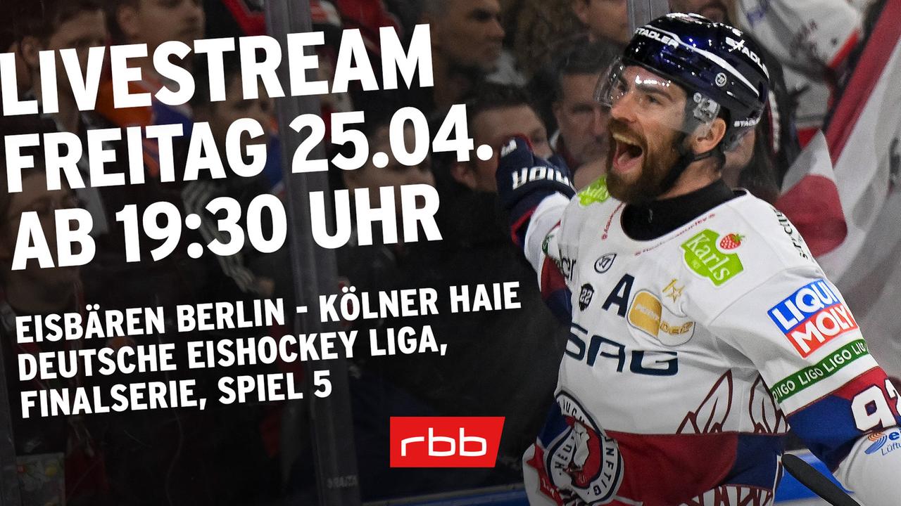 Meisterschaft verteidigt: Meisterschaft verteidigt: Eisbären Berlin bejubeln gegen Köln elften DEL-Titel
