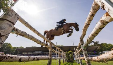 Reiten: Olympiasieger starten beim Derby in Hamburg-Klein Flottbek | NDR.de - Sport