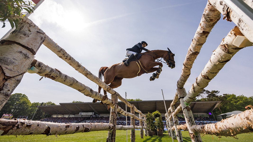 Reiten: Olympiasieger starten beim Derby in Hamburg-Klein Flottbek | NDR.de - Sport