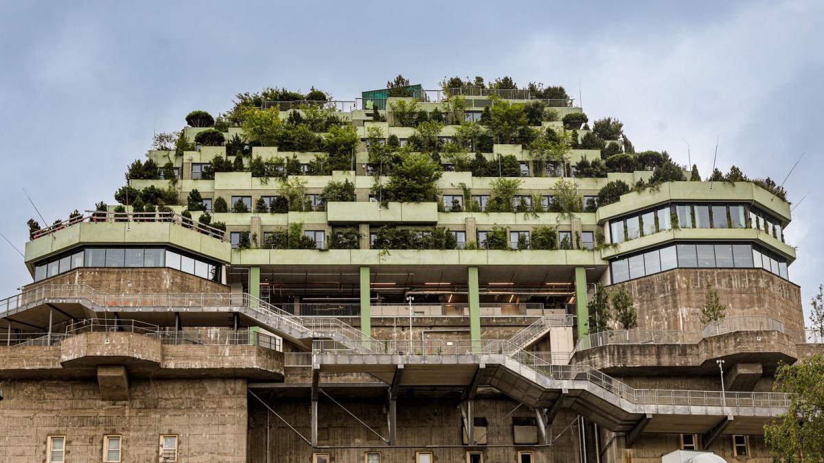 Hamburgs Grüner Bunker: Geschichte trifft Moderne