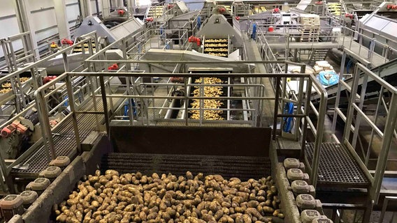 In der Produktion von Wernsing. Die Kartoffeln werden für die Weiterverarbeitung gewaschen. © NDR/filmteam Papstein/Laura Bechtold 