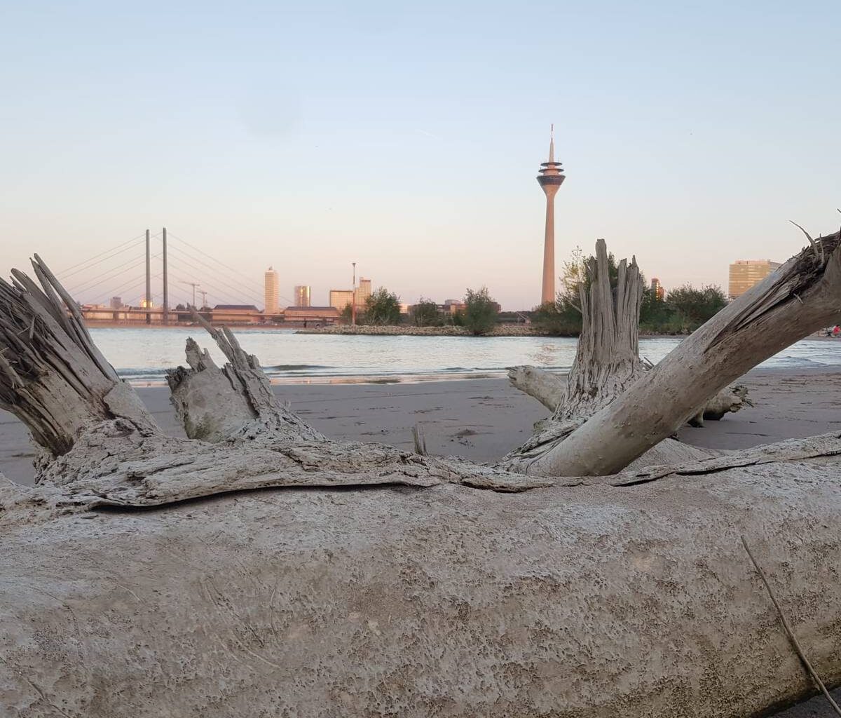 Trockenheit: Herausforderung - Antenne Düsseldorf