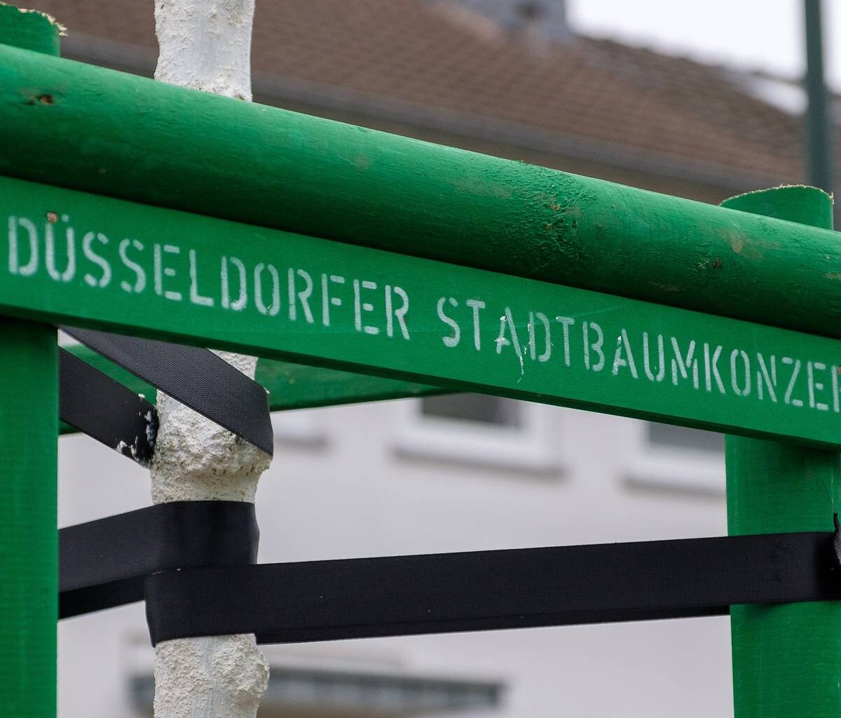 Sicherheit durch Baumfällungen - Antenne Düsseldorf