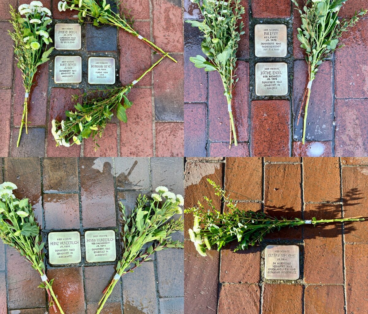 Stolpersteine polieren als Zeichen gegen das Vergessen » Wir sind MüritzerWir sind Müritzer