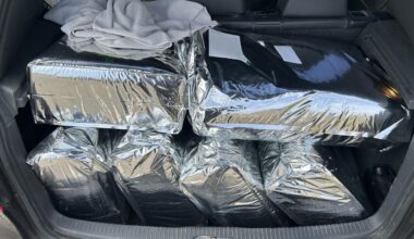 Baden-Württemberg: Zoll entdeckt 160 Kilogramm Cannabis in Auto an A5 bei Bruchsal