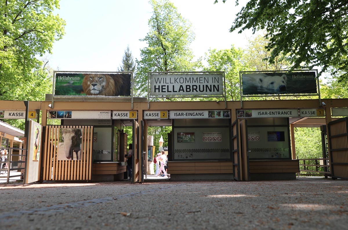 Pfleger kommt abends in den Tierpark München: Er traut seinen Augen nicht