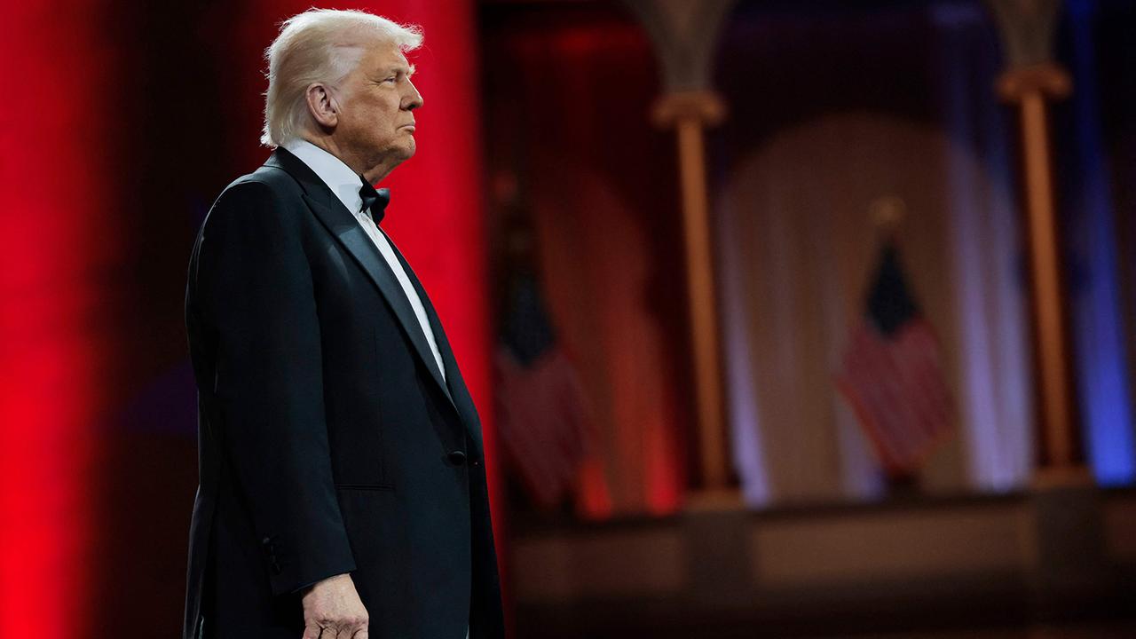 Trumps Zollpolitik: Durchdachter Plan oder fixe Idee?