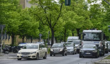 Diese 196 Bäume am Tempelhofer Damm sollen gefällt werden