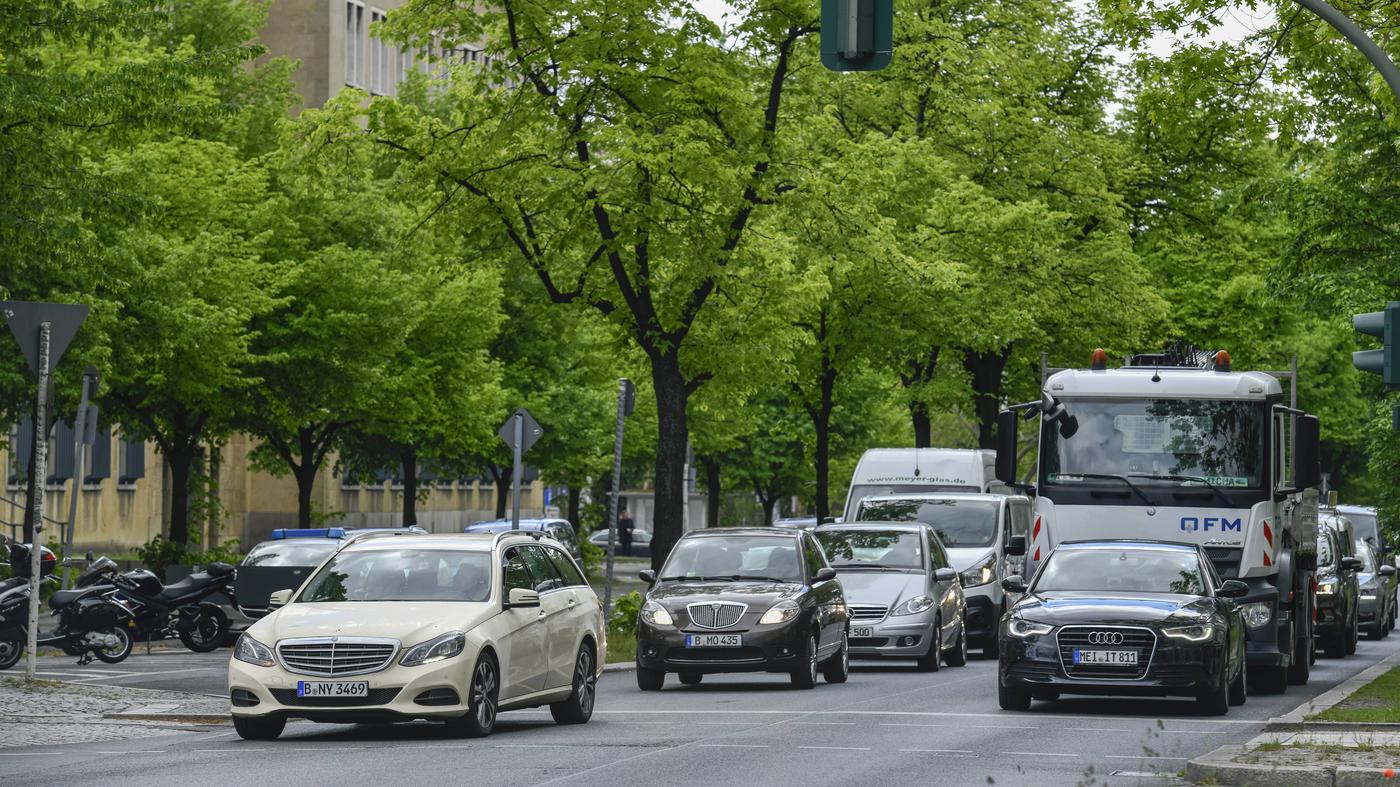 Diese 196 Bäume am Tempelhofer Damm sollen gefällt werden