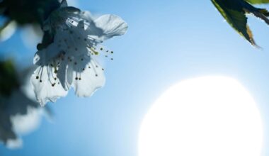 Viel Sonnenschein bei 23 Grad