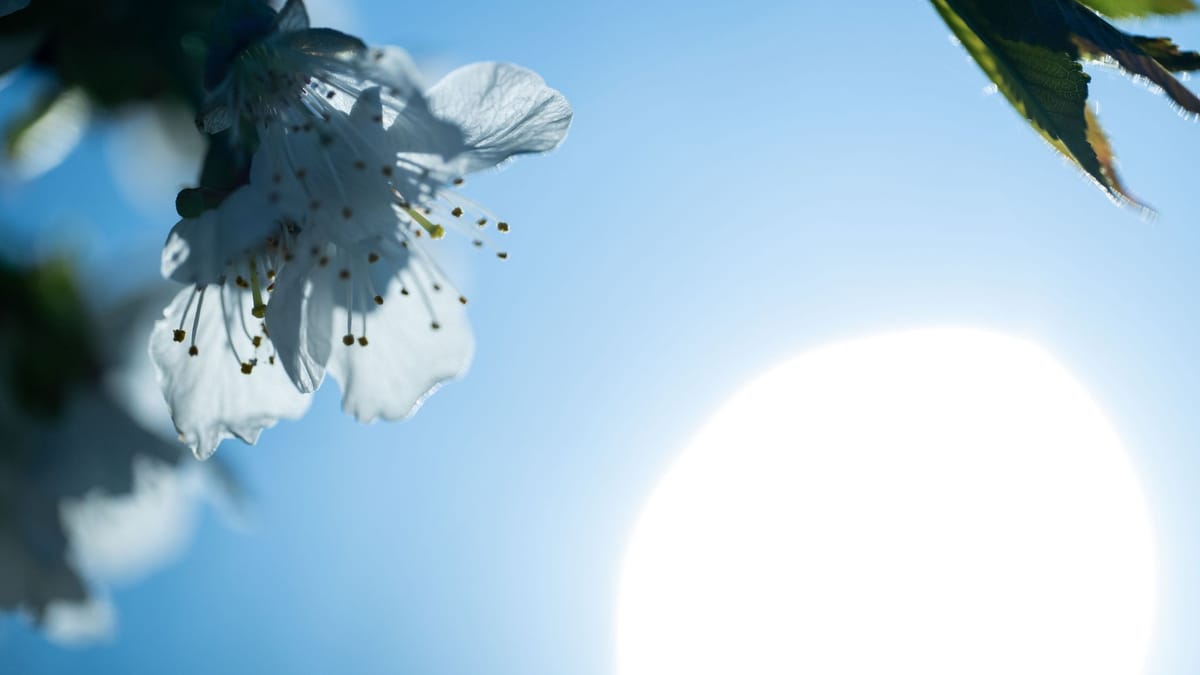 Viel Sonnenschein bei 23 Grad