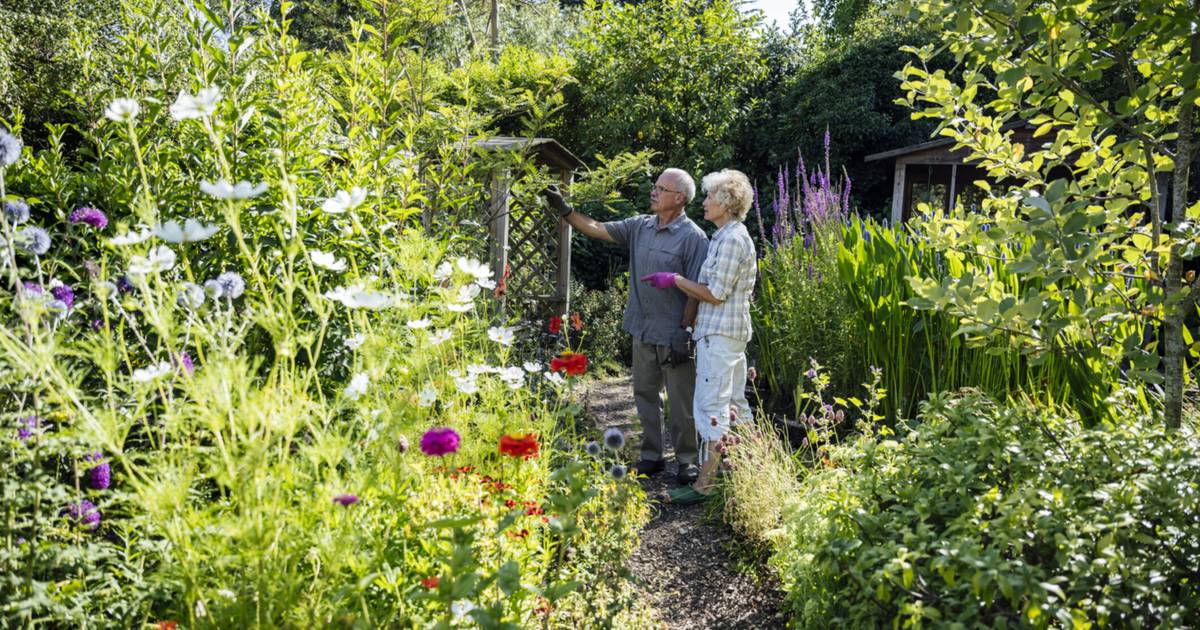 Anmelden für Offene Gartenpforte Ruhrgebiet