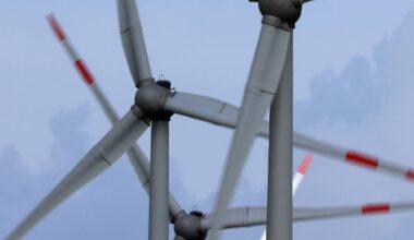 Windräder am Buchholzer Wald nicht mehr geplant