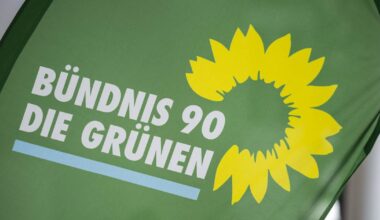 Grüne melden Mitgliederrekord nach Ampel-Aus