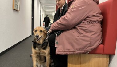 Hund in Spielhalle Düsseldorf: Landesarbeitsgericht entscheidet