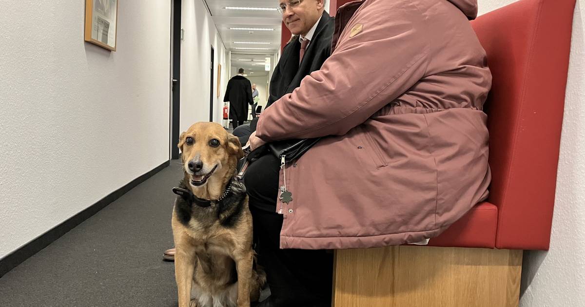 Hund in Spielhalle Düsseldorf: Landesarbeitsgericht entscheidet