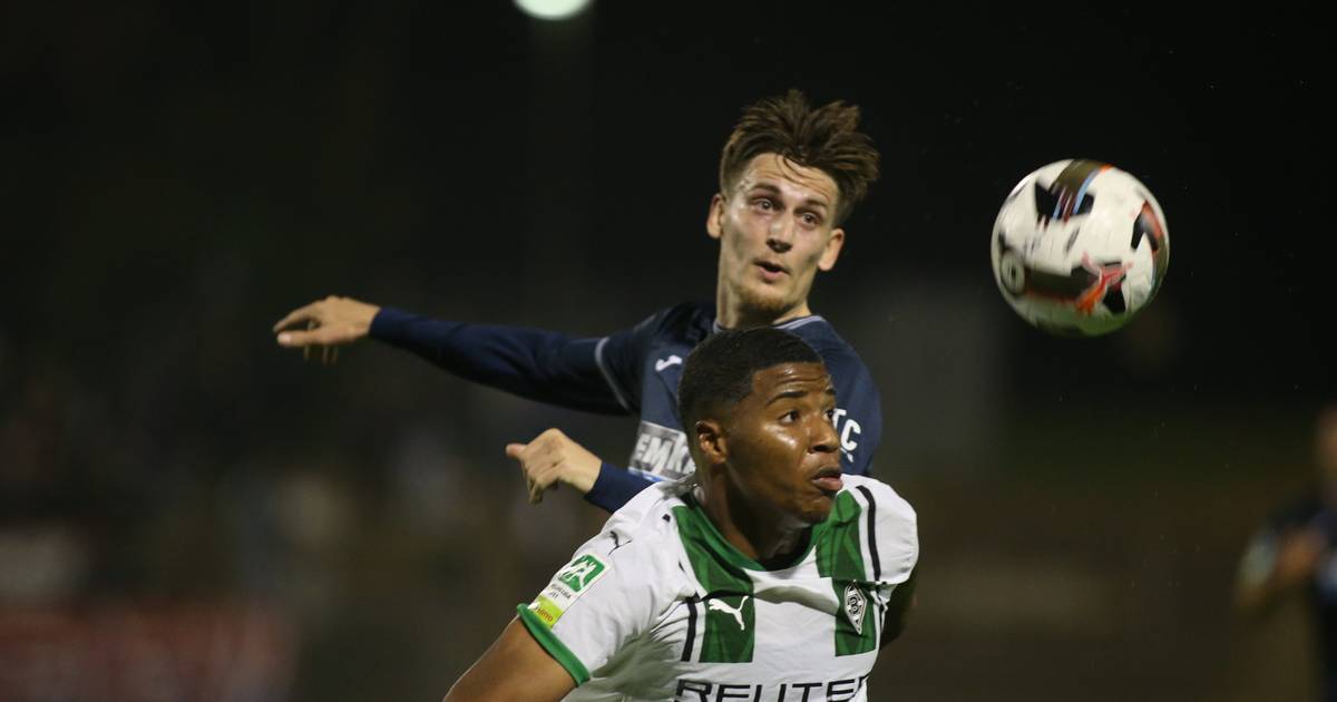 Wuppertaler SV vs Borussia Mönchengladbach U 23