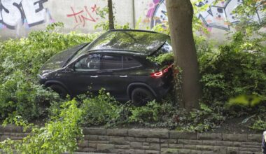 Autofahrerin will Igel retten – danach kommt der Abschleppwagen