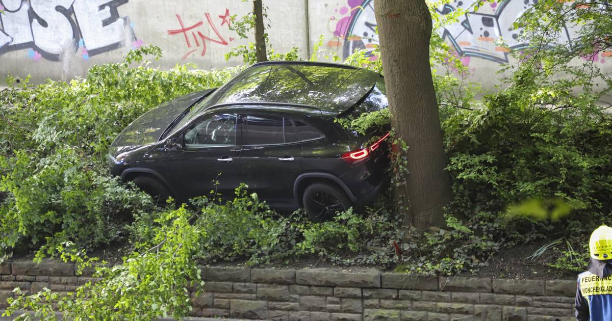 Autofahrerin will Igel retten – danach kommt der Abschleppwagen