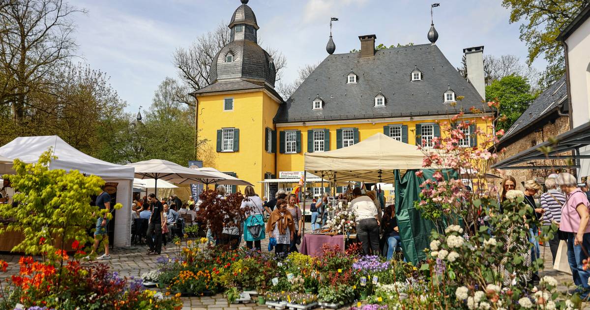 Frühlingspartie Stilblüte auf Schloss Lüntenbeck
