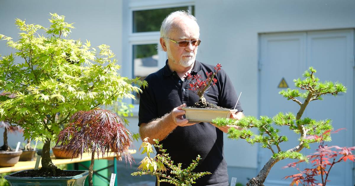 Zeittunnel lädt zu Garten, Kunst und Wein ein