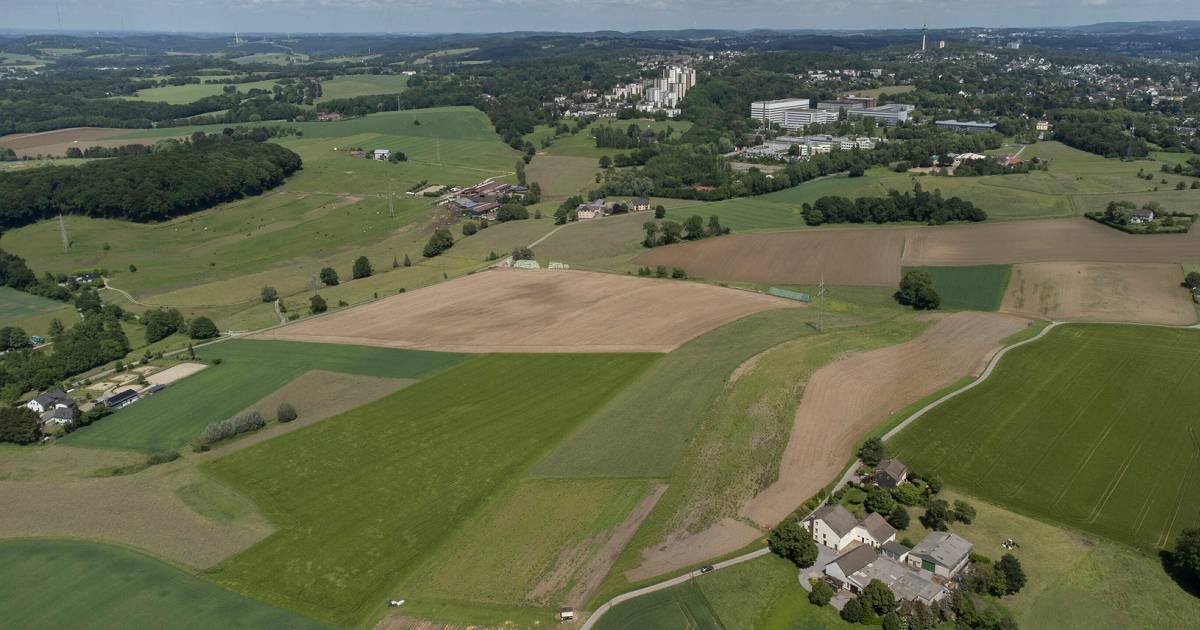 Die Stadt Wuppertal hat Antrag für fünf Gewerbepotenzialflächen in Düsseldorf eingereicht 