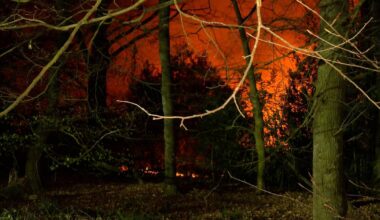 Nächtlicher Waldbrand in steilem Gelände