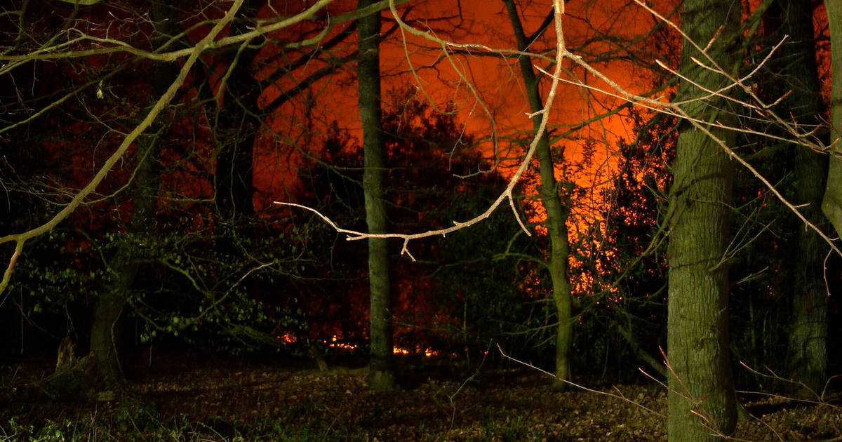 Nächtlicher Waldbrand in steilem Gelände
