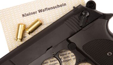 Immer mehr Schleswig-Holsteiner haben Kleinen Waffenschein | NDR.de - Nachrichten