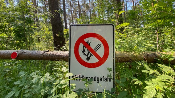 Ein Schild "Waldbrandgefahr" hängt in einem Wald. © picture alliance/dpa/Julian Stratenschulte Foto: Julian Stratenschulte