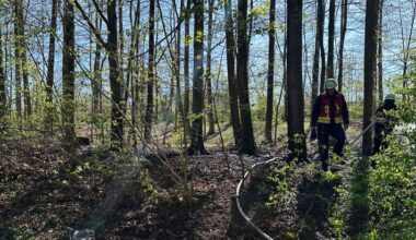 Vegetationsbrände im Feilenhauerweg und in der Hans-Böckler-Straße in Remscheid