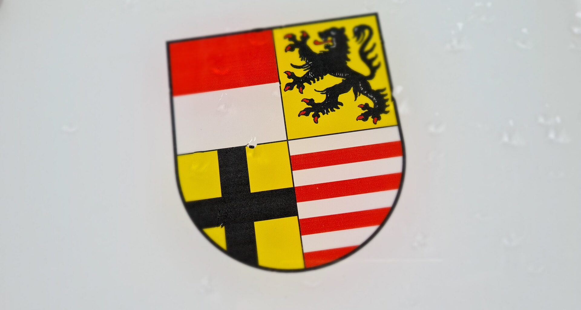 Saalekreis sucht Gastfamilien für Austauschschüler