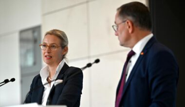 Warum Trumps Zölle die AfD in ein Dilemma bringen