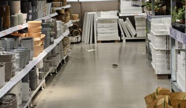 Ikea Hamburg: Mäuse-Problem! Nager flitzen durchs Möbelhaus