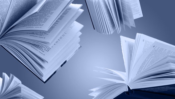 Aufgeschlagene Bücher © Vladimir Melnikov fotolia Foto: Vladimir Melnikov