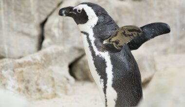 Kirsten aus Duisburg möchte noch einmal in den Zoo – es endet HIER