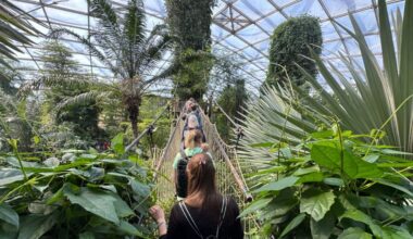 Frühlingsbesuch mit Gondwanaland, Pongoland & Kiwara-Lodge