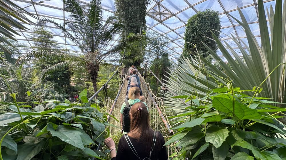 Frühlingsbesuch mit Gondwanaland, Pongoland & Kiwara-Lodge