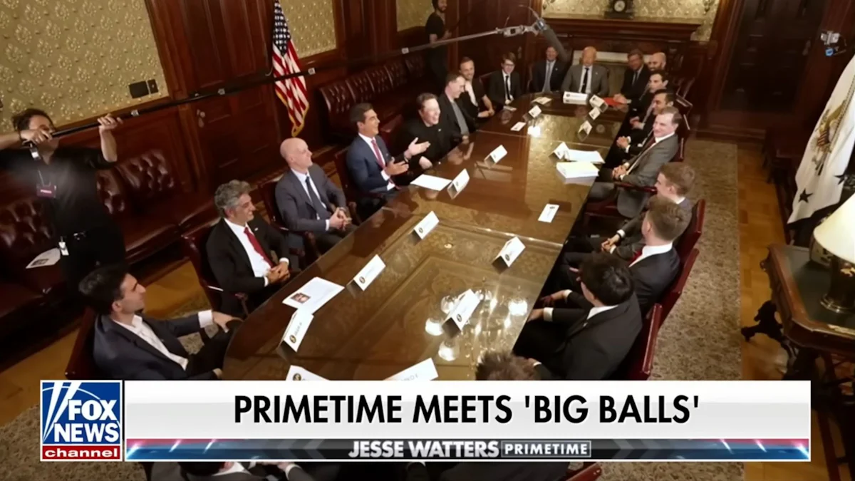 Der Sender Fox News stellt Elon Musks DOGE-Truppe vor: „Wer ist Big Balls“? - Medien