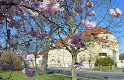 falkensee.de - Achtung! Veranstaltung fällt aus!