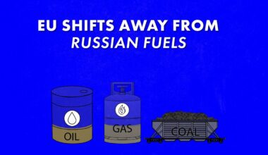 Kann sich die EU einen Verzicht auf russische Brennstoffimporte leisten?