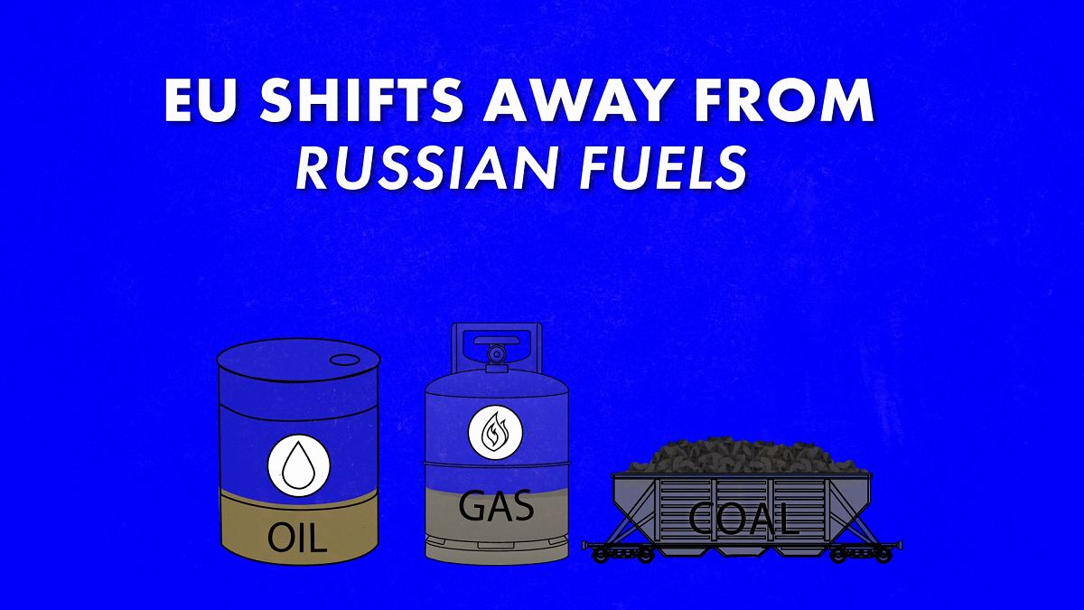 Kann sich die EU einen Verzicht auf russische Brennstoffimporte leisten?