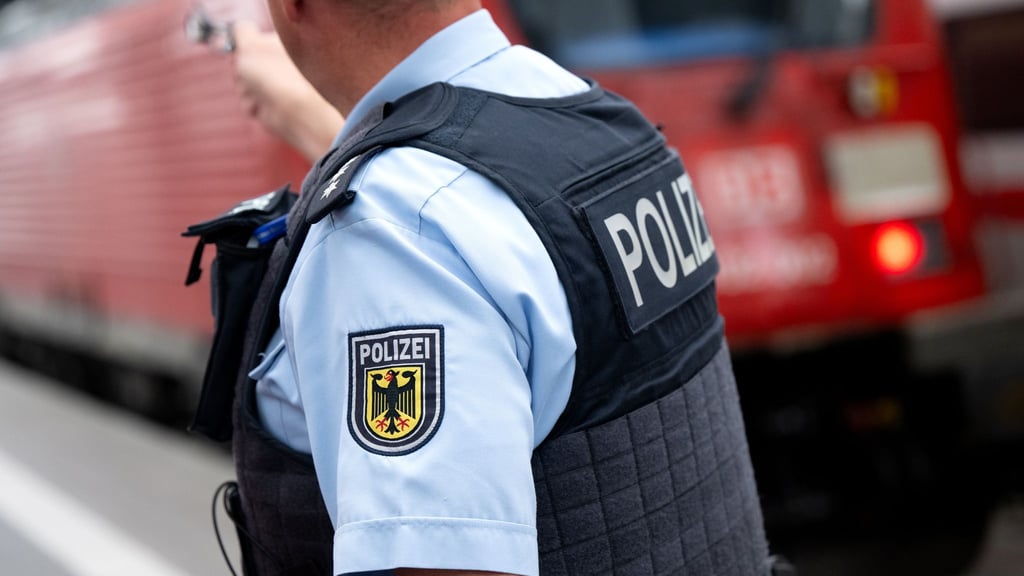 Polizei findet 80.000 Euro teure Geige in Zug
