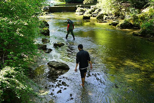 Nun müssen doch ein paar Fische am Wasserfall im englischen Garten gerettet werden.