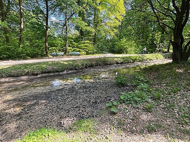 Seltenes Bild: Kaum noch Wasser an der Steinernen Bank nahe Chinesischem Turm