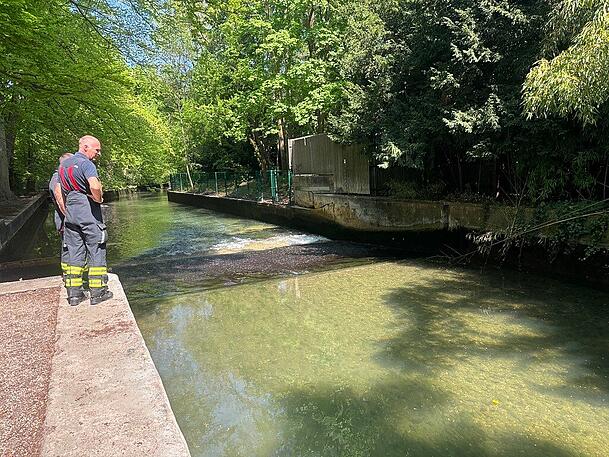 Tiefstand auch an der Dianawelle im Englischen Garten. Wie hoch das Wasser sonst hier steht, kann man an den bemoosten Mauern sehen