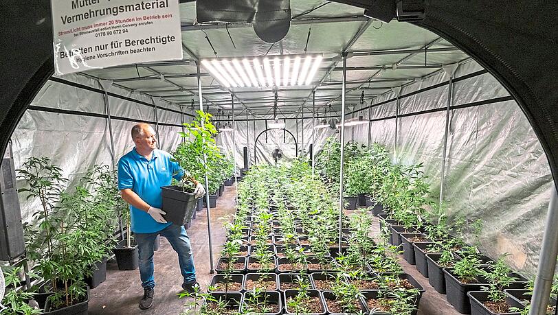 Spielplatz verhindert Cannabis-Traum: Der König von Haschheim dankt ab