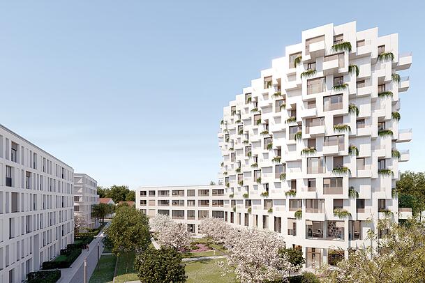 Der Entwurf: Die Meiller Gärten mit dem neuen Hochhaus.