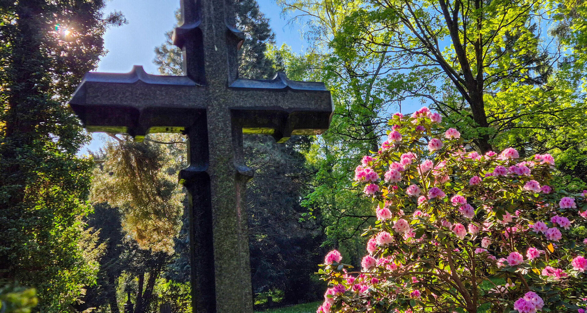 Führung vermittelt Wissenswertes über blühende Kostbarkeiten auf dem Chemnitz Friedhof